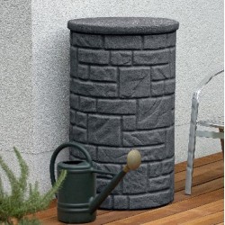 Kleur Regenton Arcado