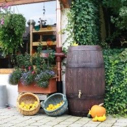 Regenton Barrique 250 Liter