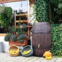 Regenton Barrique 250 Liter