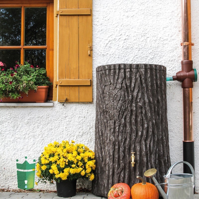 Regentonne Evergreen Lite 300 Liter